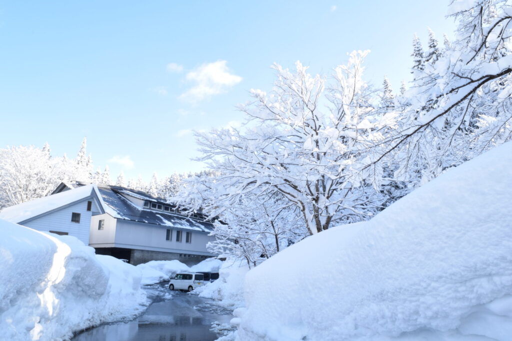 Schnee, Sake im Schnee, Sake in Schneekura, Sake in Schneekura, weltgrößtes, verschneites Land, Schneeland, Tsunanjosho, Sake Kura, japanischer Sake, Snow醸hi