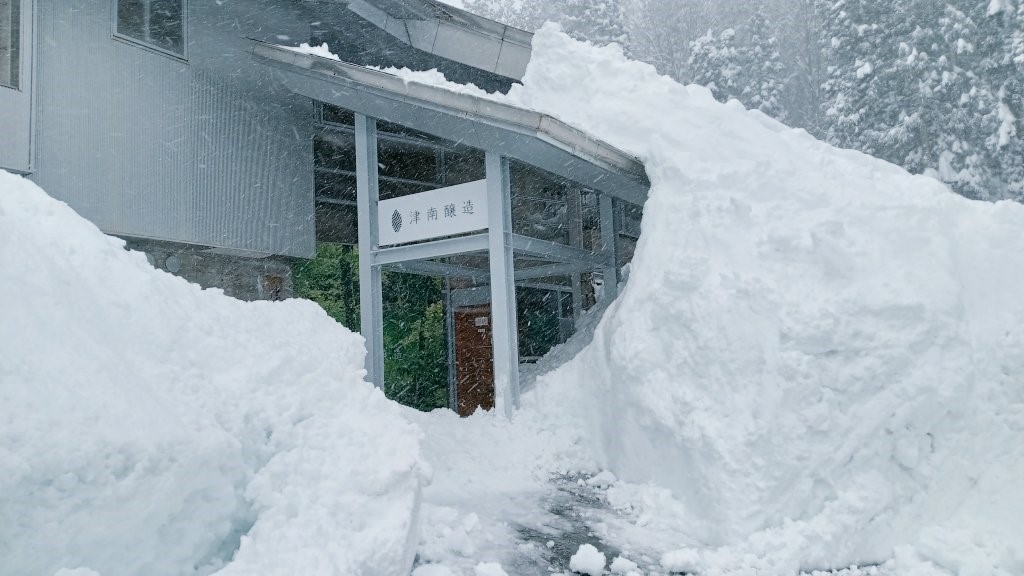 Nieve, Sake en la nieve, Snow Kura, Snow Kura, la mayor del mundo, Tierra nevada, País de nieve, Tsunanjosho, Sake Kura, Sake japonés, Snow醸hi