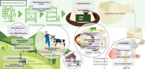 Realizing sustainability in the sake production process using generative AI obtained by Tsunan Sake Brewing Company using the technology of MEMORY LAB Co., Ltd.