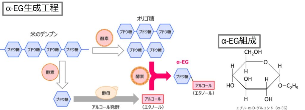 α-EGはエタノール、オリゴ糖の存在下で麴由来の酵素により生み出される成分です。「並行複発酵」と呼ばれる、糖化とアルコール発酵が同時進行する日本酒の生産プロセスで多く産生されることが知られています。また、ヒト臨床試験を含む多数の研究成果として、α-EGに関する機能性が報告されています。