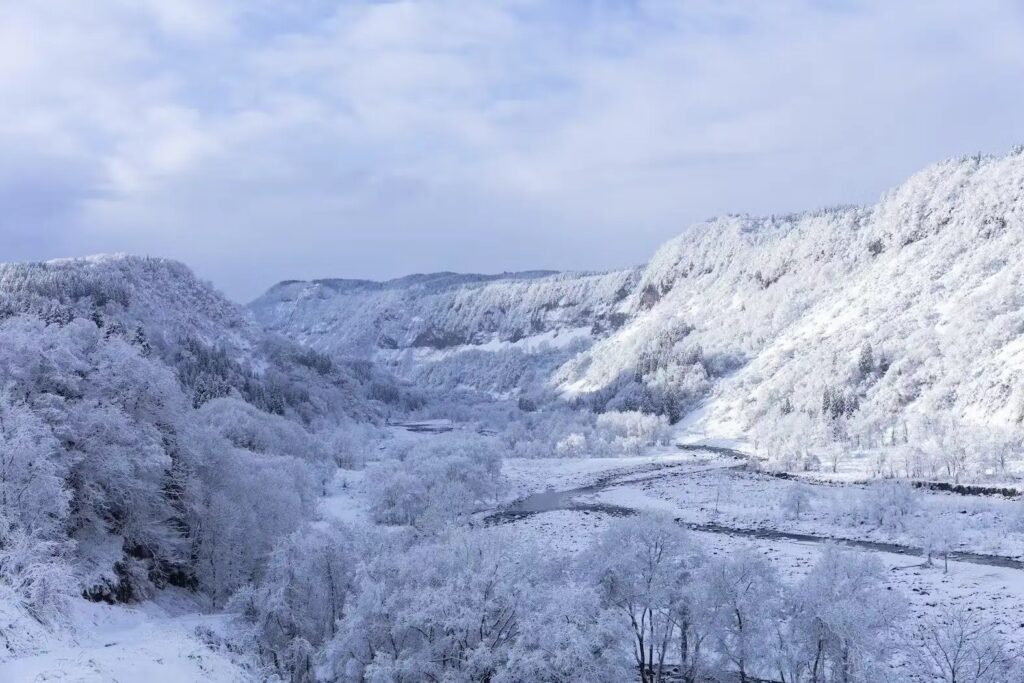 In the remote mountains of Tsunan, where 3 to 4 meters of snow fall in winter, TSUNAN SAKE BREWERY carefully brews sake using only locally sourced rice and water. 